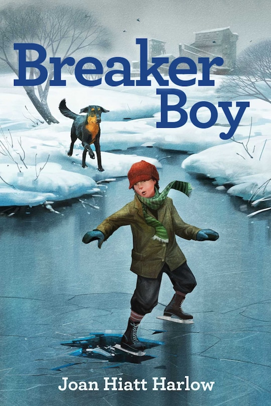 Couverture_Breaker Boy