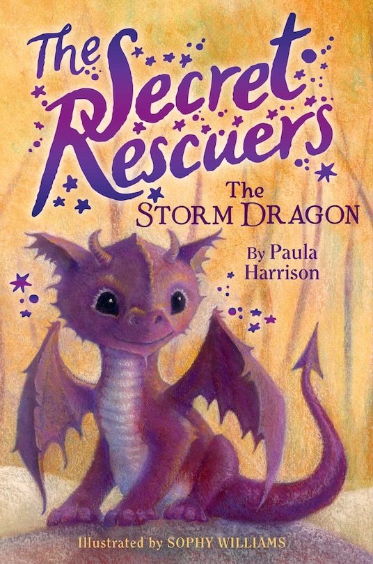 Front cover_The Storm Dragon