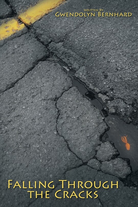 Couverture_Falling Through The Cracks