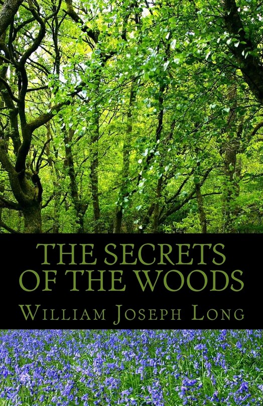 Front cover_Secrets of the Woods