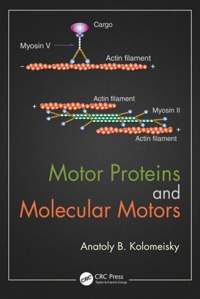 Front cover_Motor Proteins And Molecular Motors