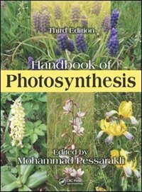 Front cover_Handbook Of Photosynthesis