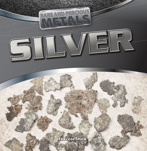 Front cover_Silver