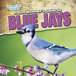 Front cover_A Bird Watcher's Guide to Blue Jays