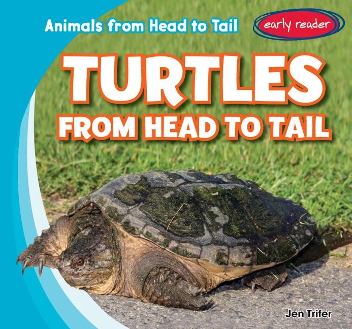 Front cover_Turtles from Head to Tail