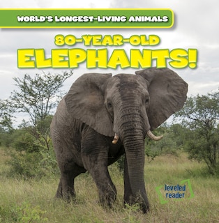 Couverture_80-Year-Old Elephants!