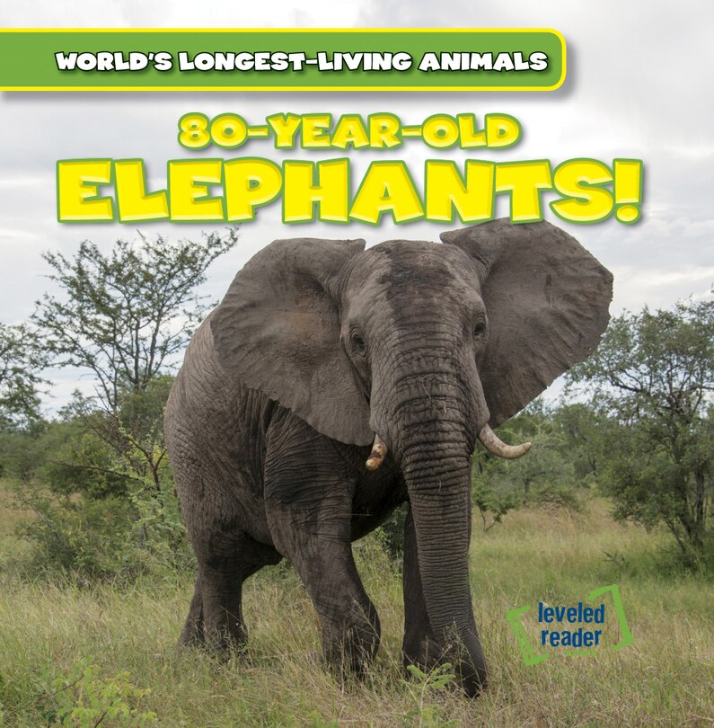 Couverture_80-Year-Old Elephants!