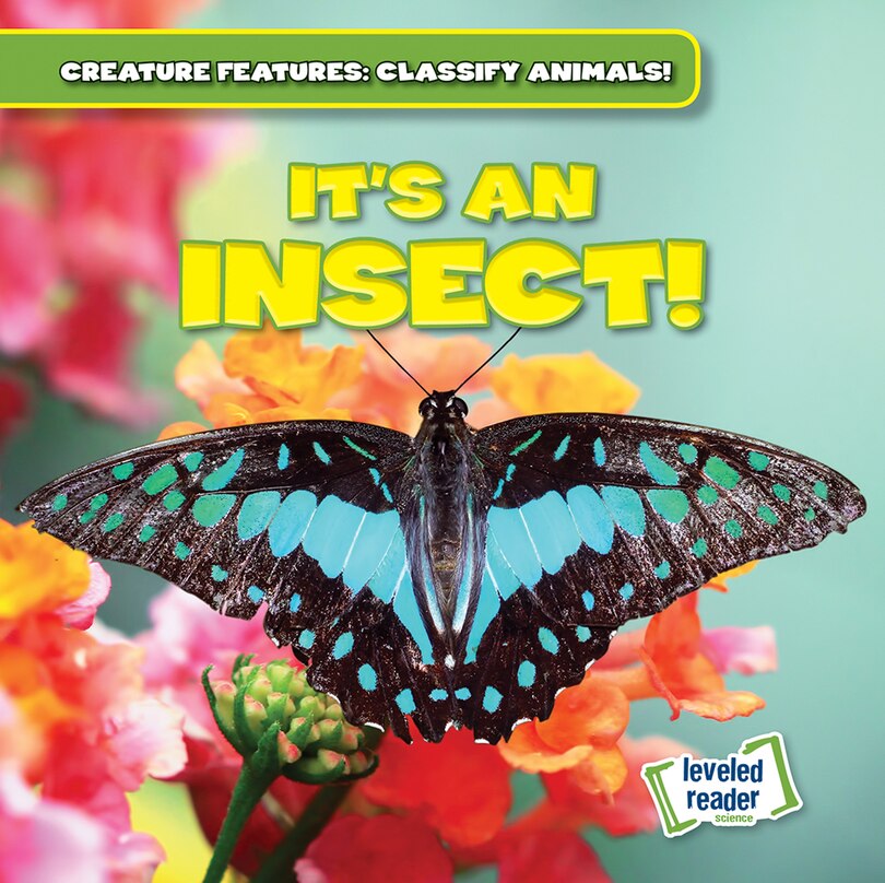 Front cover_It's an Insect!