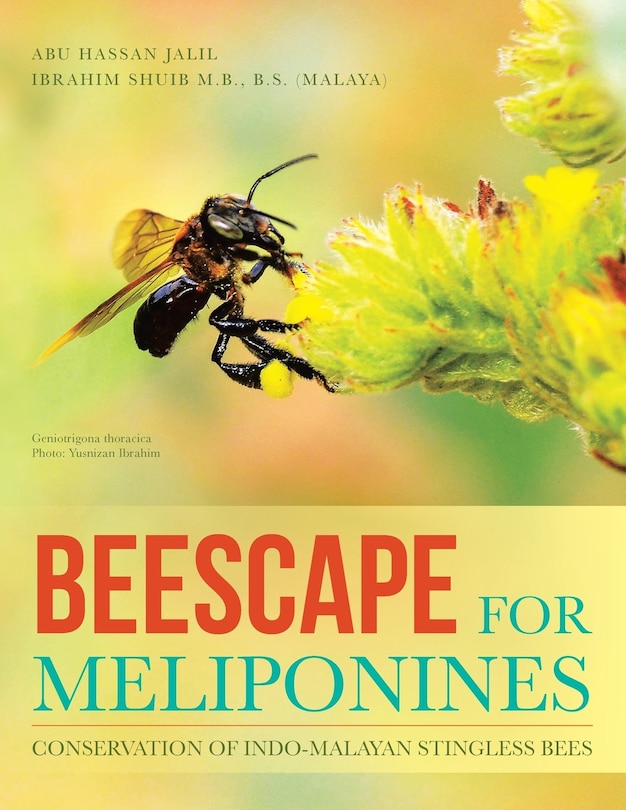 Couverture_Beescape for Meliponines