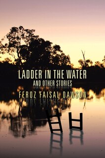 Front cover_Ladder in the Water and Other Stories