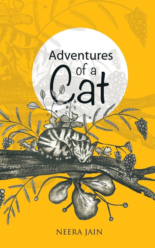 Front cover_Adventures of a Cat