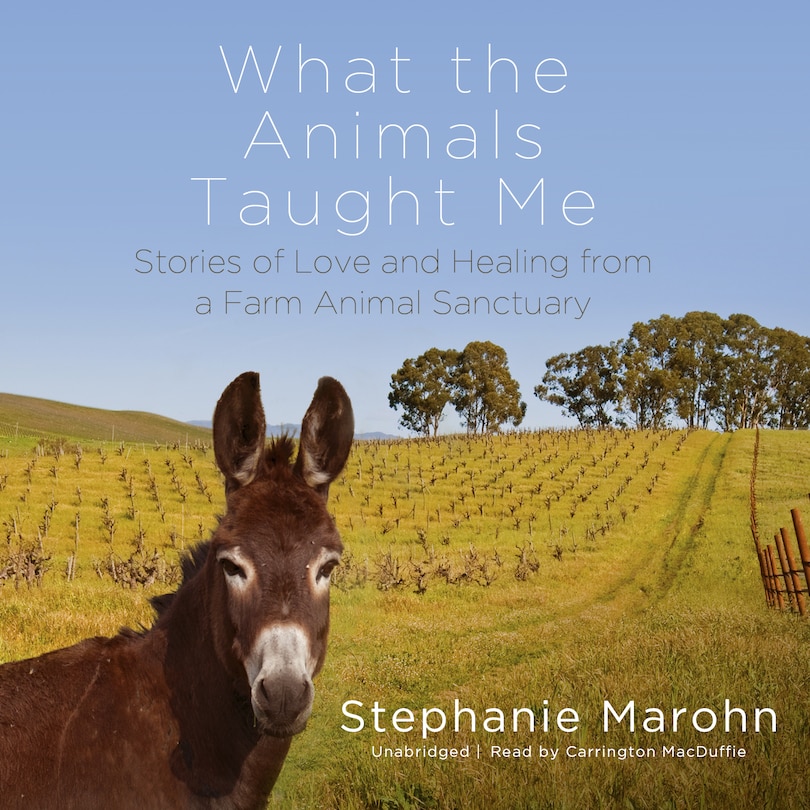 Couverture_What The Animals Taught Me