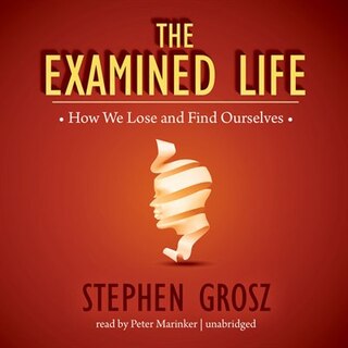 Front cover_The Examined Life