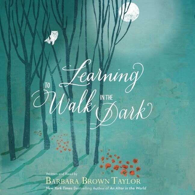 Front cover_Learning to Walk in the Dark Lib/E