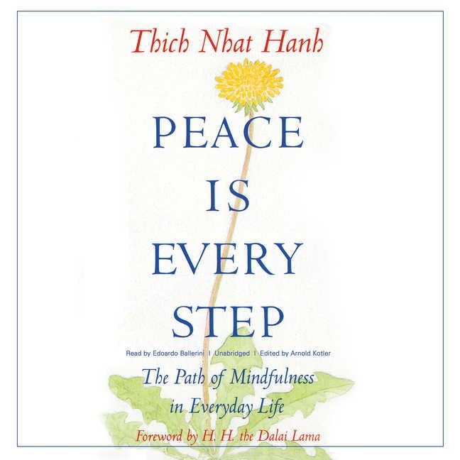 Front cover_Peace Is Every Step