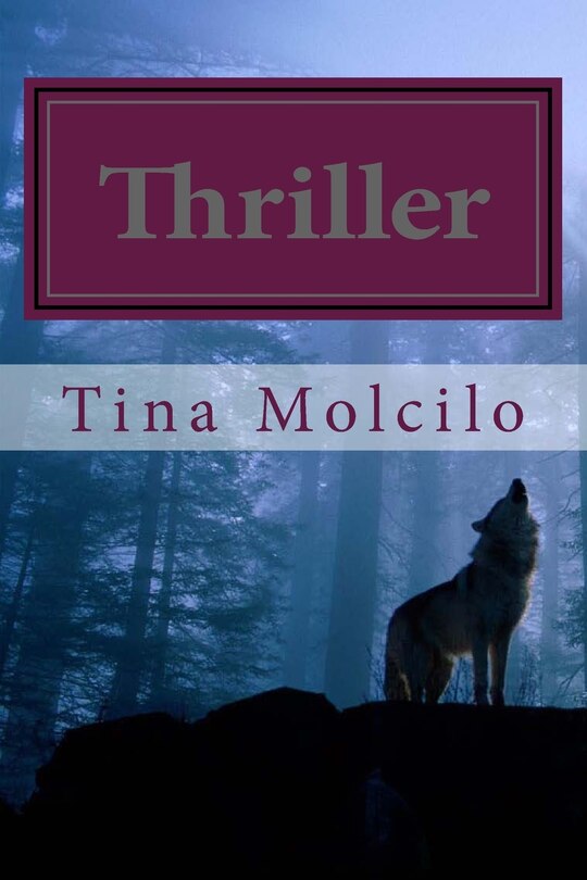 Couverture_Thriller