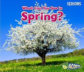 What Can You See in Spring?
