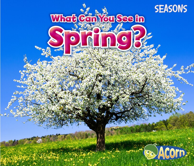 What Can You See in Spring?