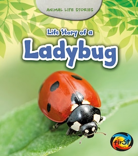 Front cover_Life Story of a Ladybug