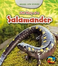 Couverture_Life Story of a Salamander