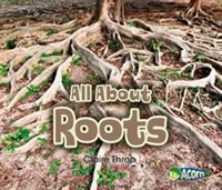 Front cover_All About Roots
