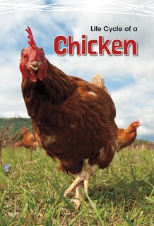 Front cover_Life Cycle Of A Chicken