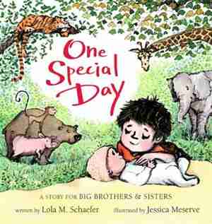 One Special Day: A Story For Big Brothers And Sisters de Lola M. Schaefer