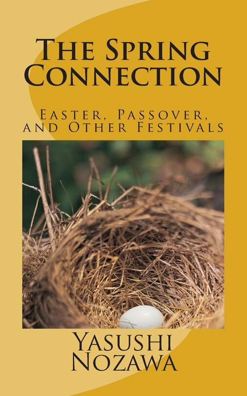 Couverture_The Spring Connection