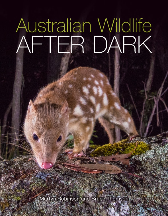 Front cover_Australian Wildlife After Dark [OP