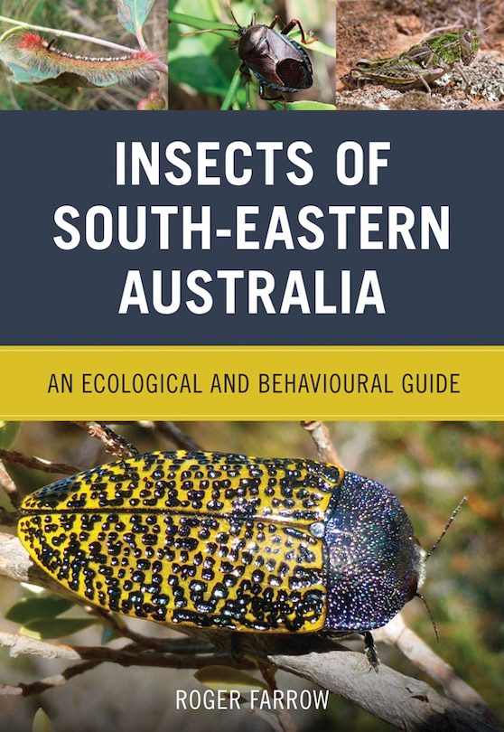 Front cover_Insects Of South-eastern Australia