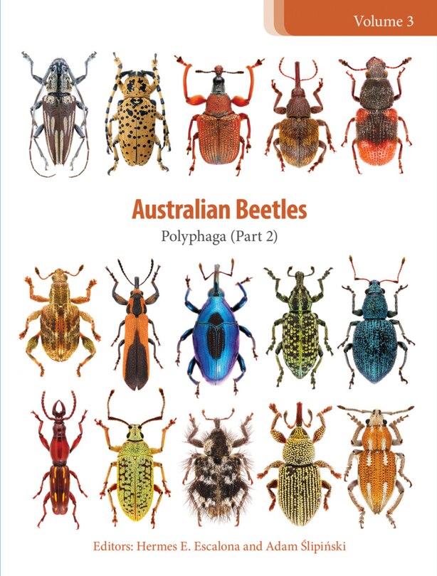 Front cover_Australian Beetles