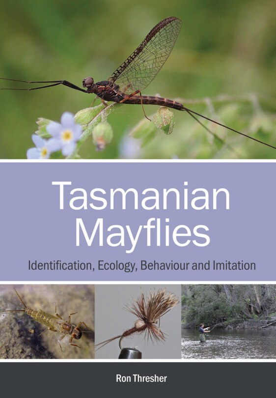 Couverture_Tasmanian Mayflies