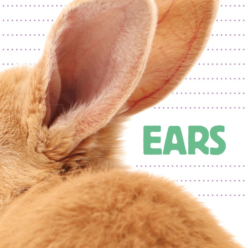 Couverture_Ears