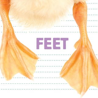 Front cover_Feet