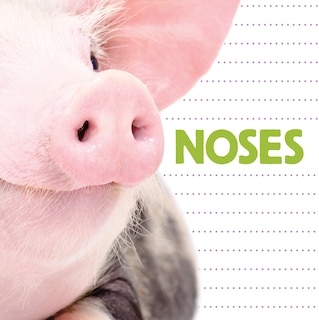 Couverture_Noses