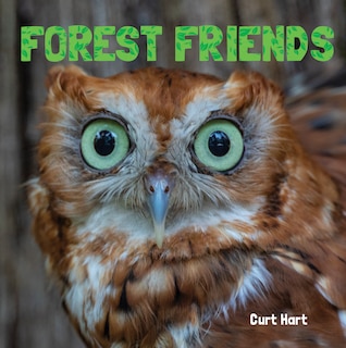 Front cover_Forest Friends