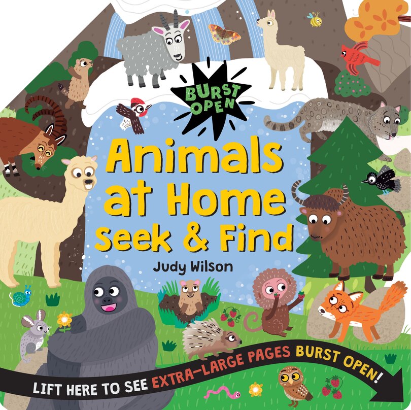 Couverture_Animals at Home Seek & Find