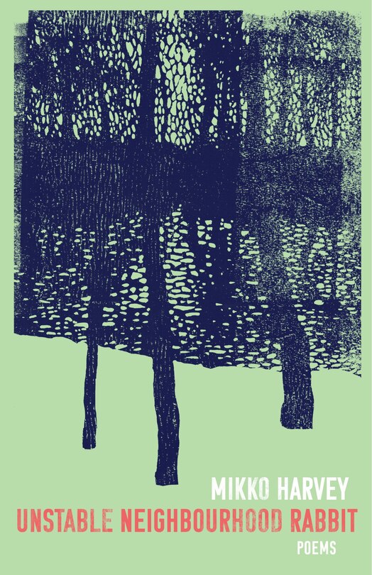Front cover_Unstable Neighbourhood Rabbit