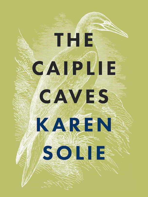 Front cover_The Caiplie Caves