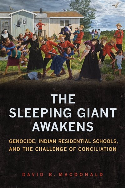 Front cover_The Sleeping Giant Awakens