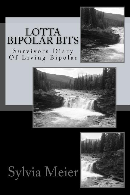 Couverture_Lotta Bipolar Bits