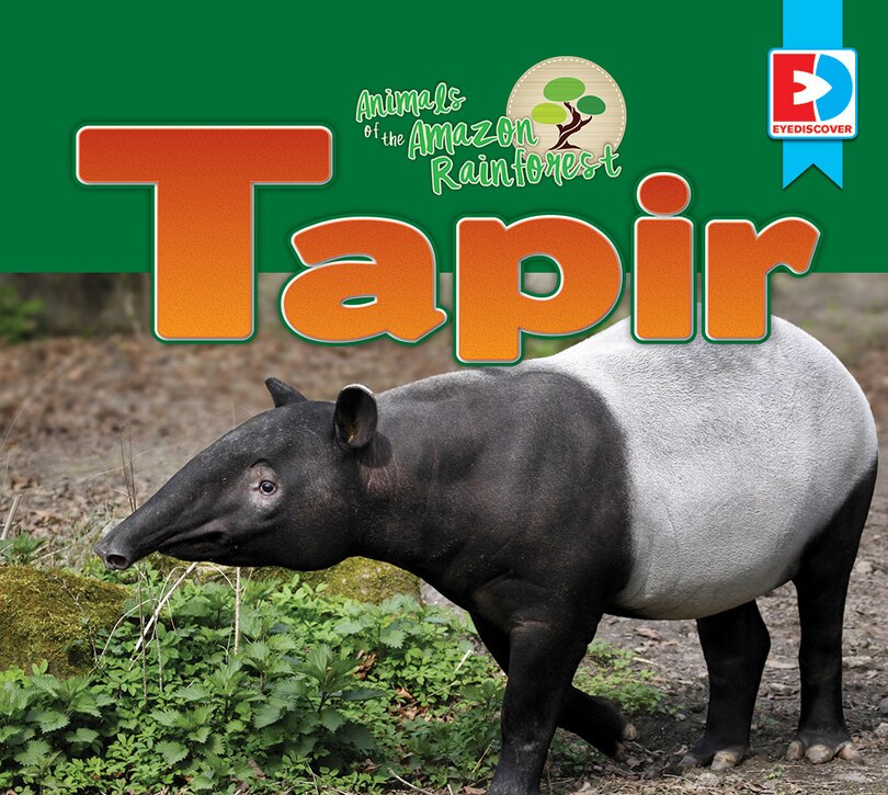 Couverture_Animals of the Amazon Rainforest: Tapir