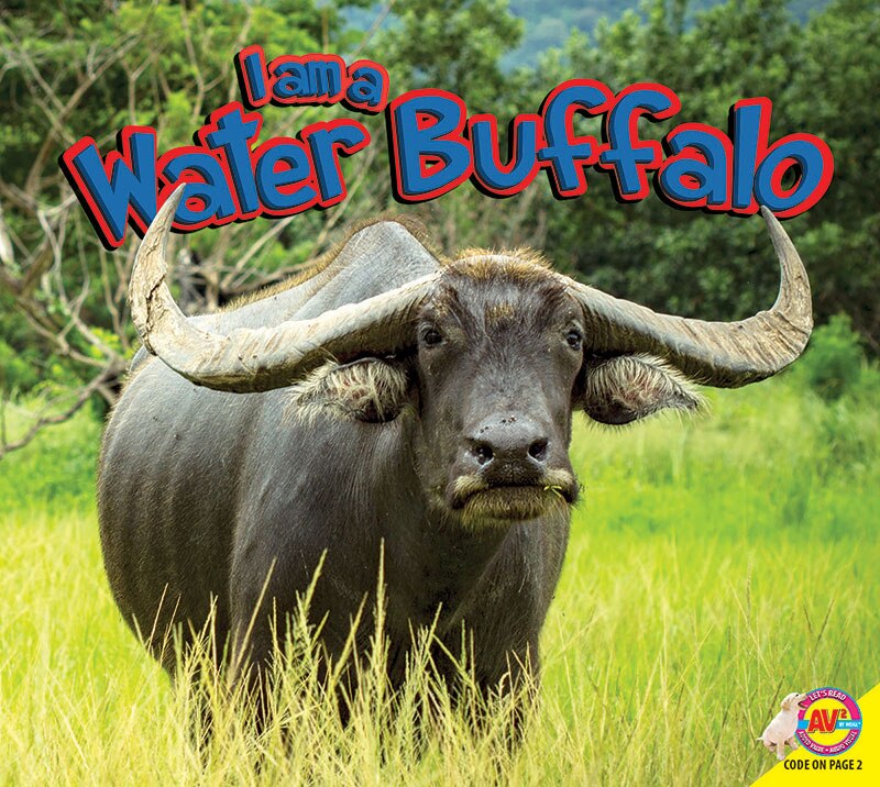 Couverture_I Am a Water Buffalo