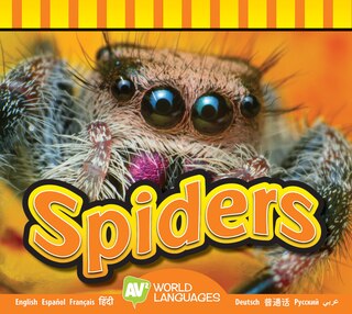 Front cover_Spiders