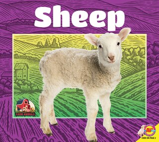 Couverture_Sheep