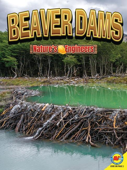 Couverture_Beaver Dams