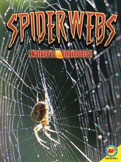 Front cover_Spiderwebs