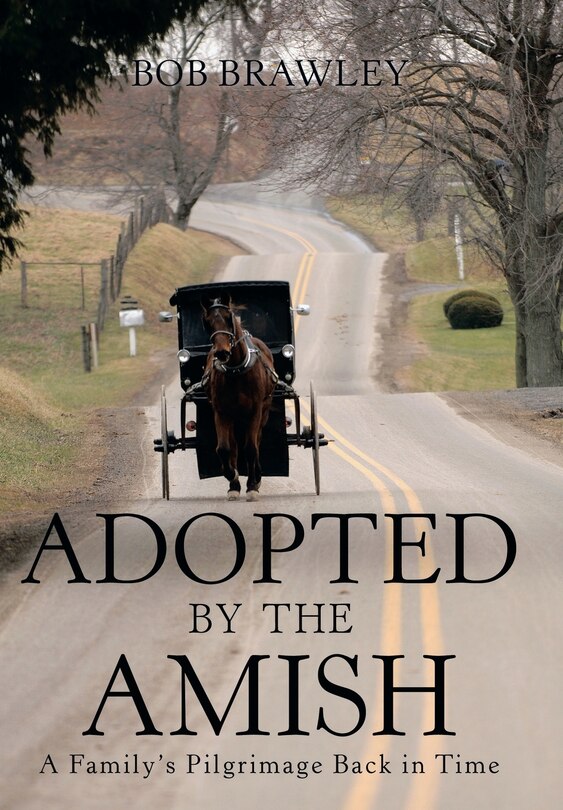 Front cover_Adopted by the Amish
