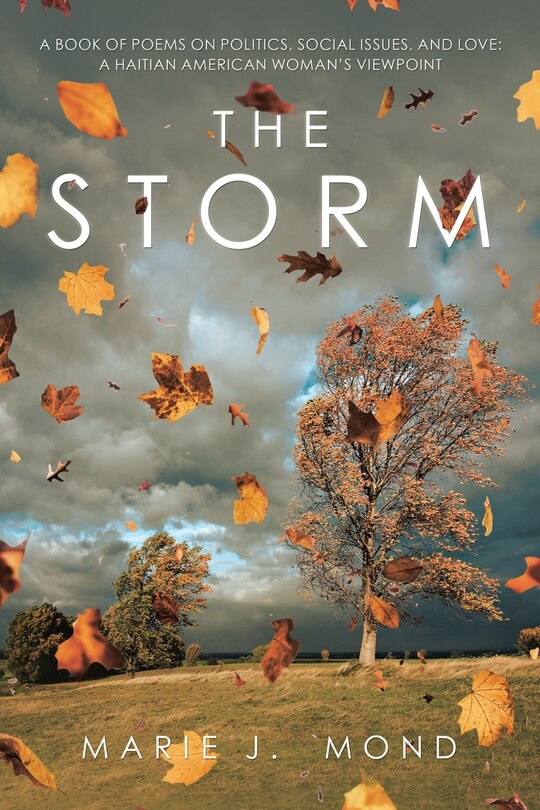 Couverture_The Storm