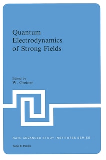 Couverture_Quantum Electrodynamics of Strong Fields